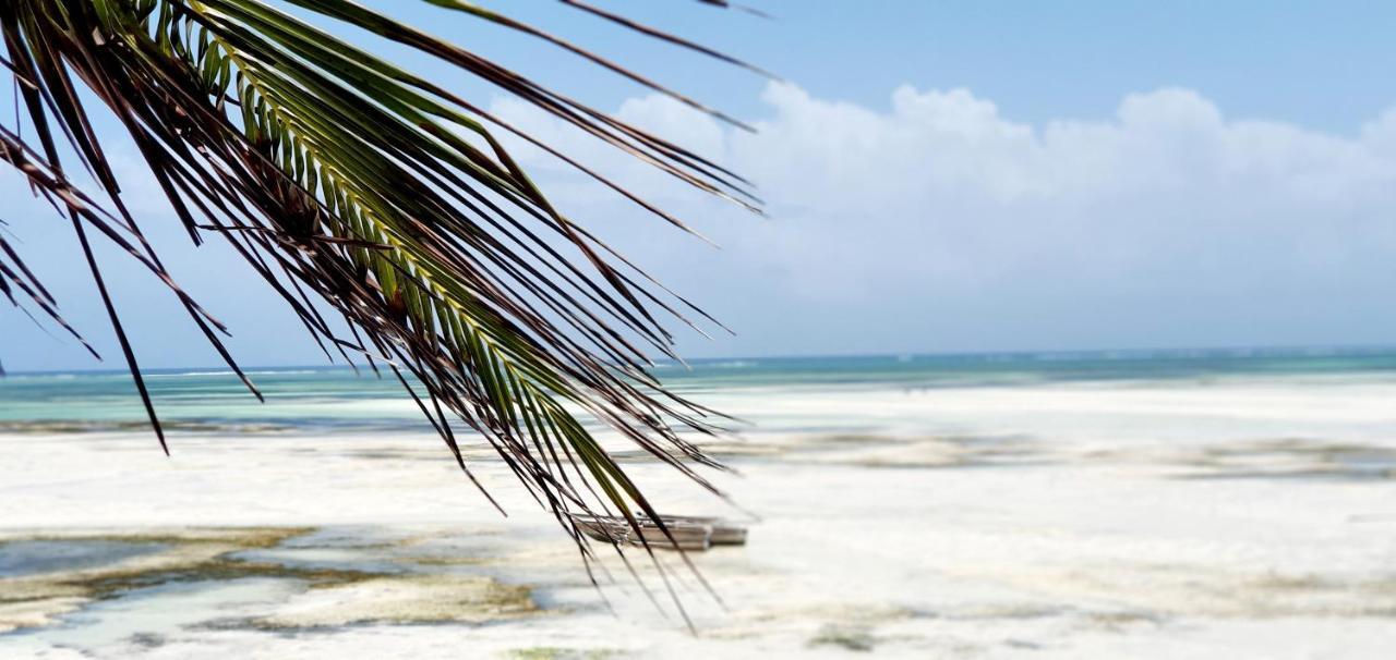 Arya Boutique Resort Kiwengwa  Luaran gambar